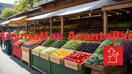 Haymatlos Avantajları