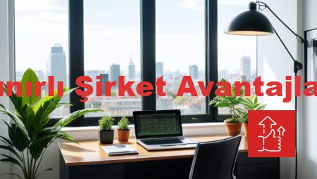 Sınırlı Şirket Avantajları