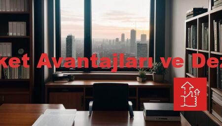 Limited Şirket Avantajları ve Dezavantajları