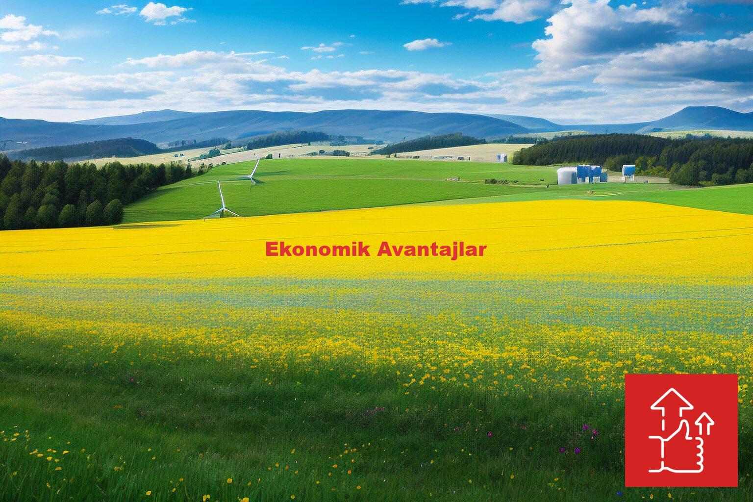 Ekonomik Avantajlar